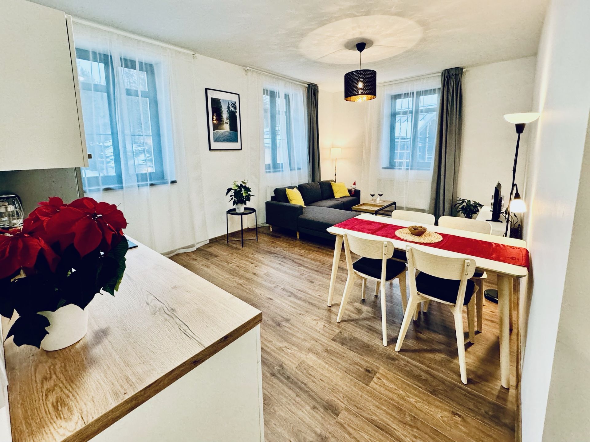 Apartmán C, Rezidence Mariánská